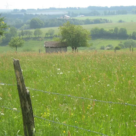 Prázdninový dům Luxury Holiday In Rohl Eifel With Fenced Garden