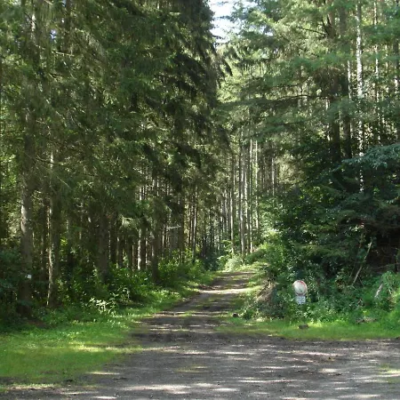 Luxury Holiday In Rohl Eifel With Fenced Garden Prázdninový dům