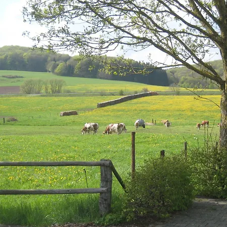 Luxury Holiday In Rohl Eifel With Fenced Garden *